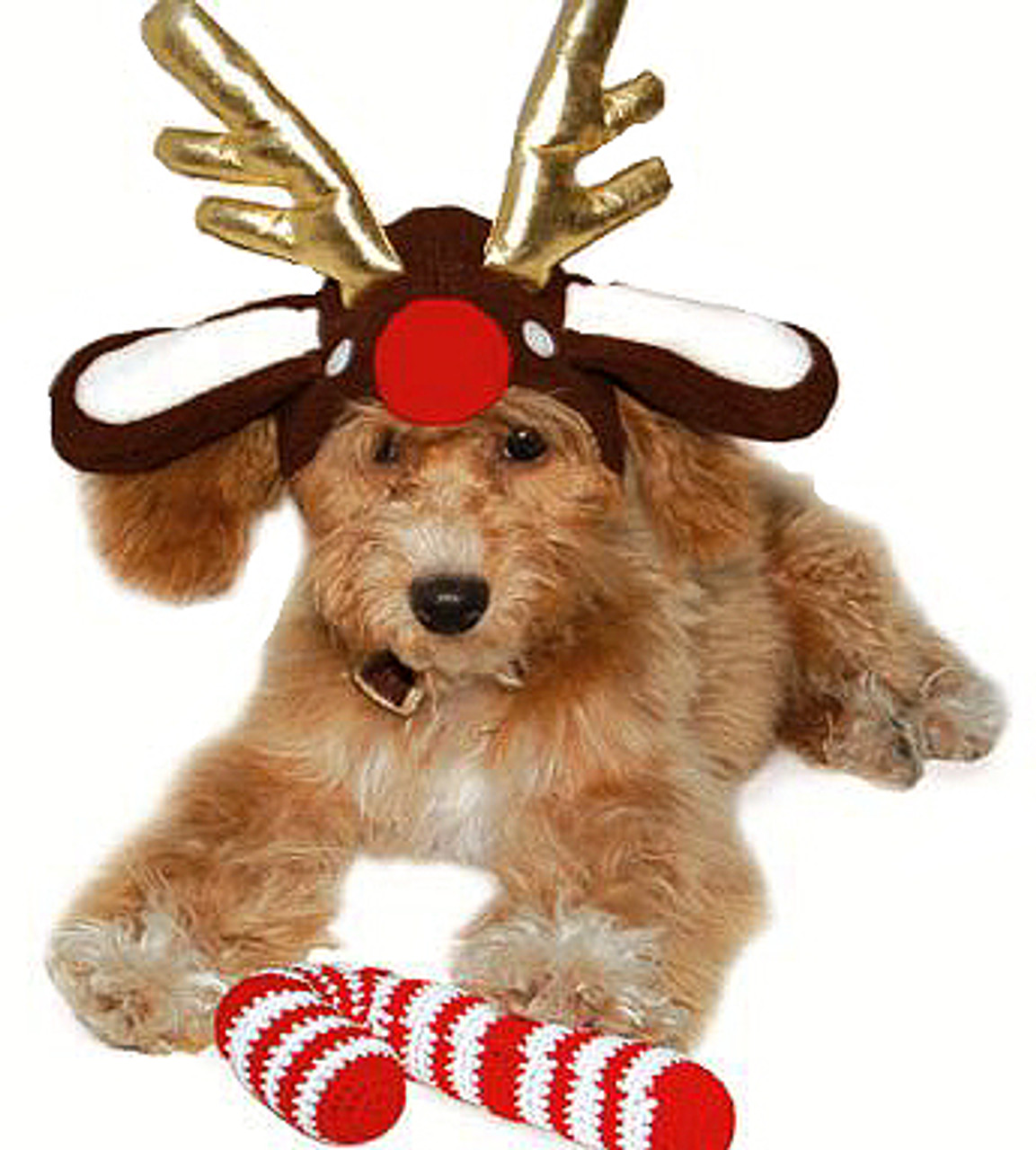 reindeer antlers for dogs