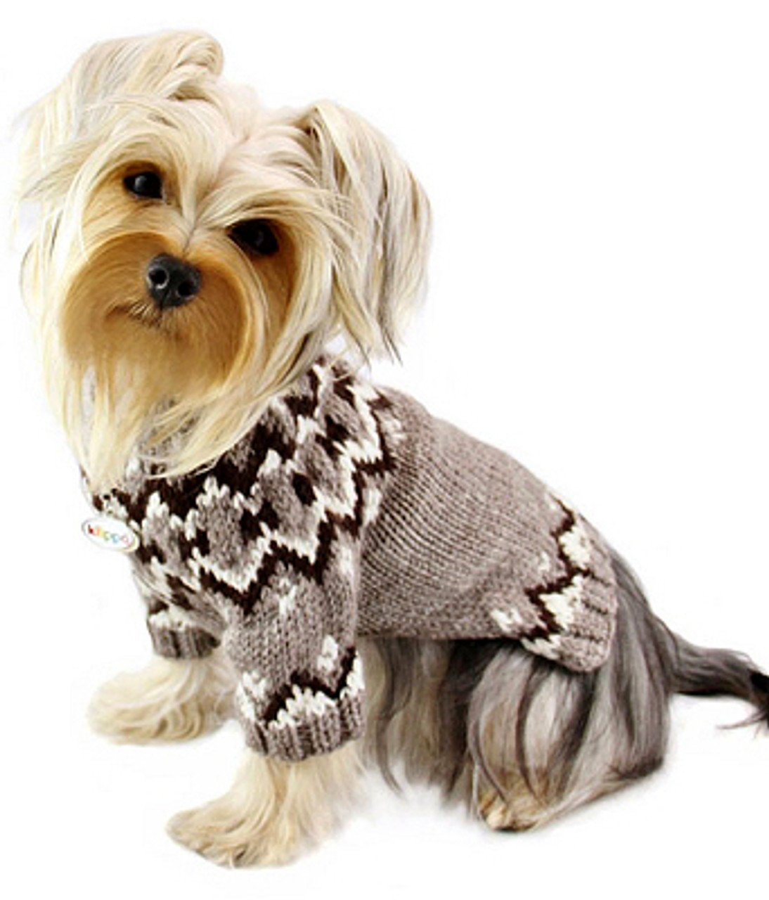 ucla dog sweater