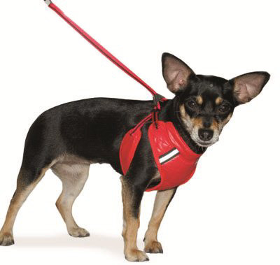 the flash dog harness