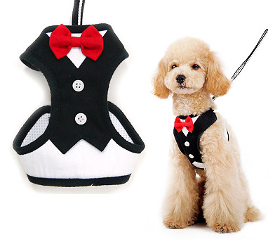 dog harness with bow
