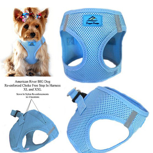 light blue dog harness