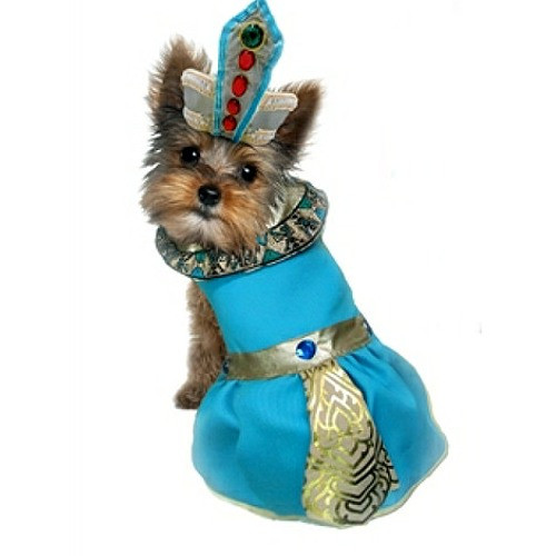 Cleopatra Pet Dog Costume for small pets| PupRwear