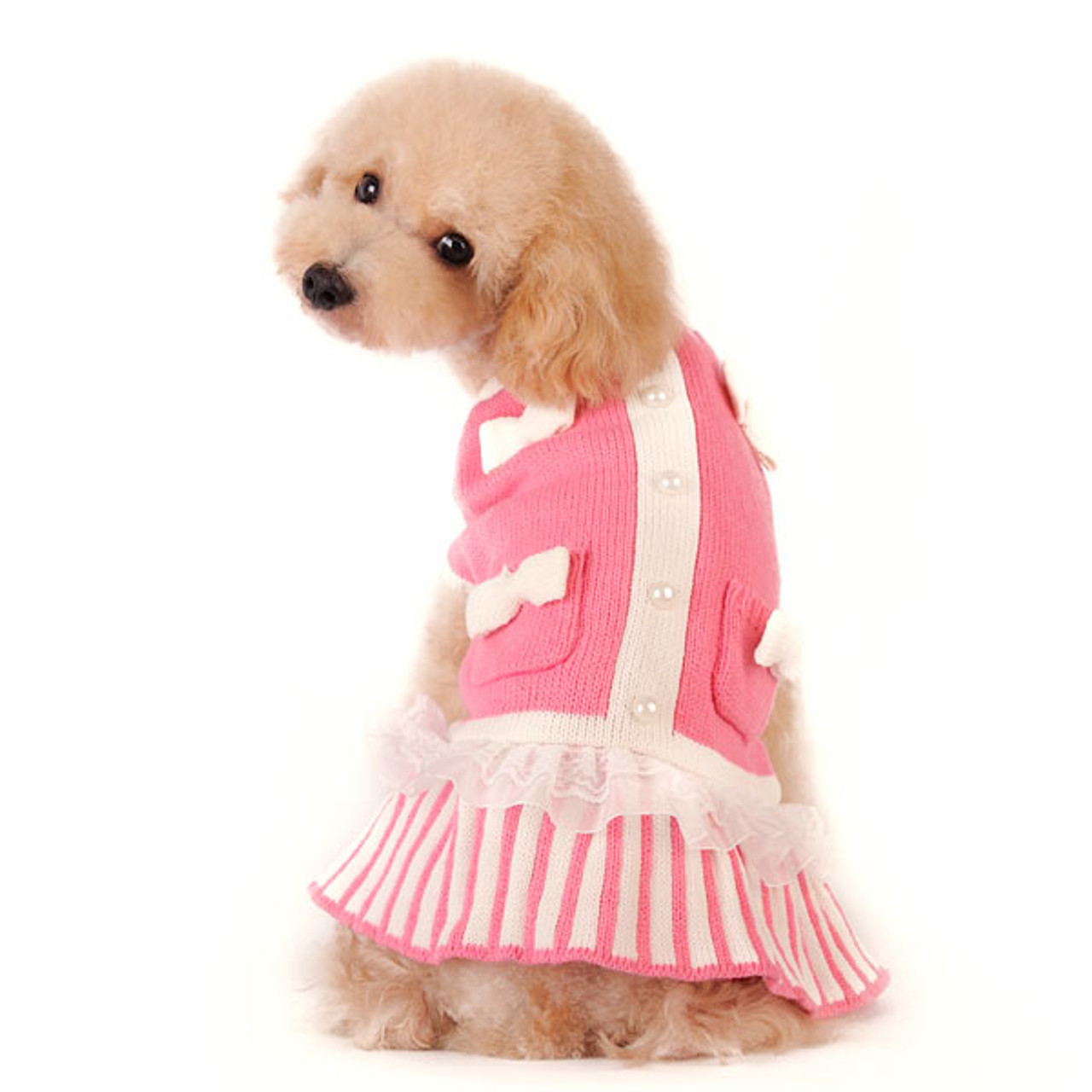 pink ladies dog jacket