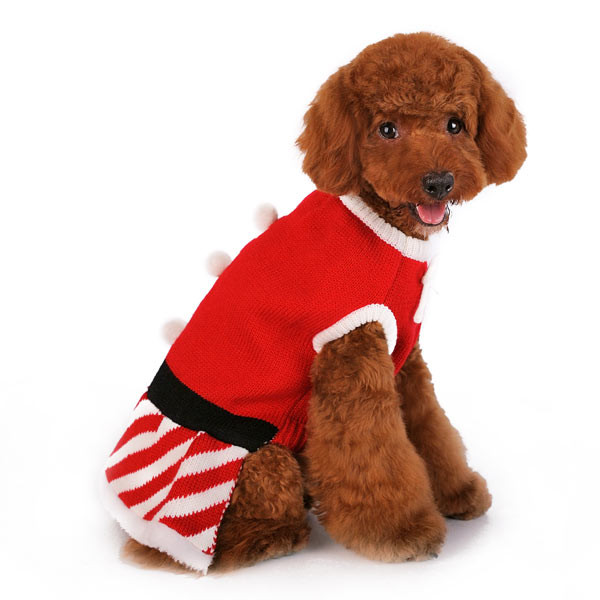 Santa Girl Dog Sweater Dress | Dogo Pet 