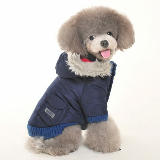 dog coat with pockets