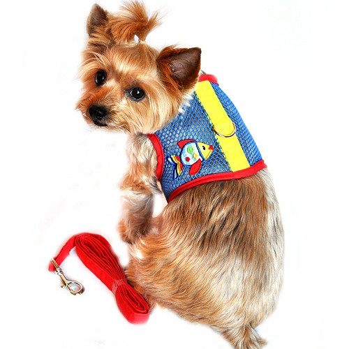 unique dog harness designs