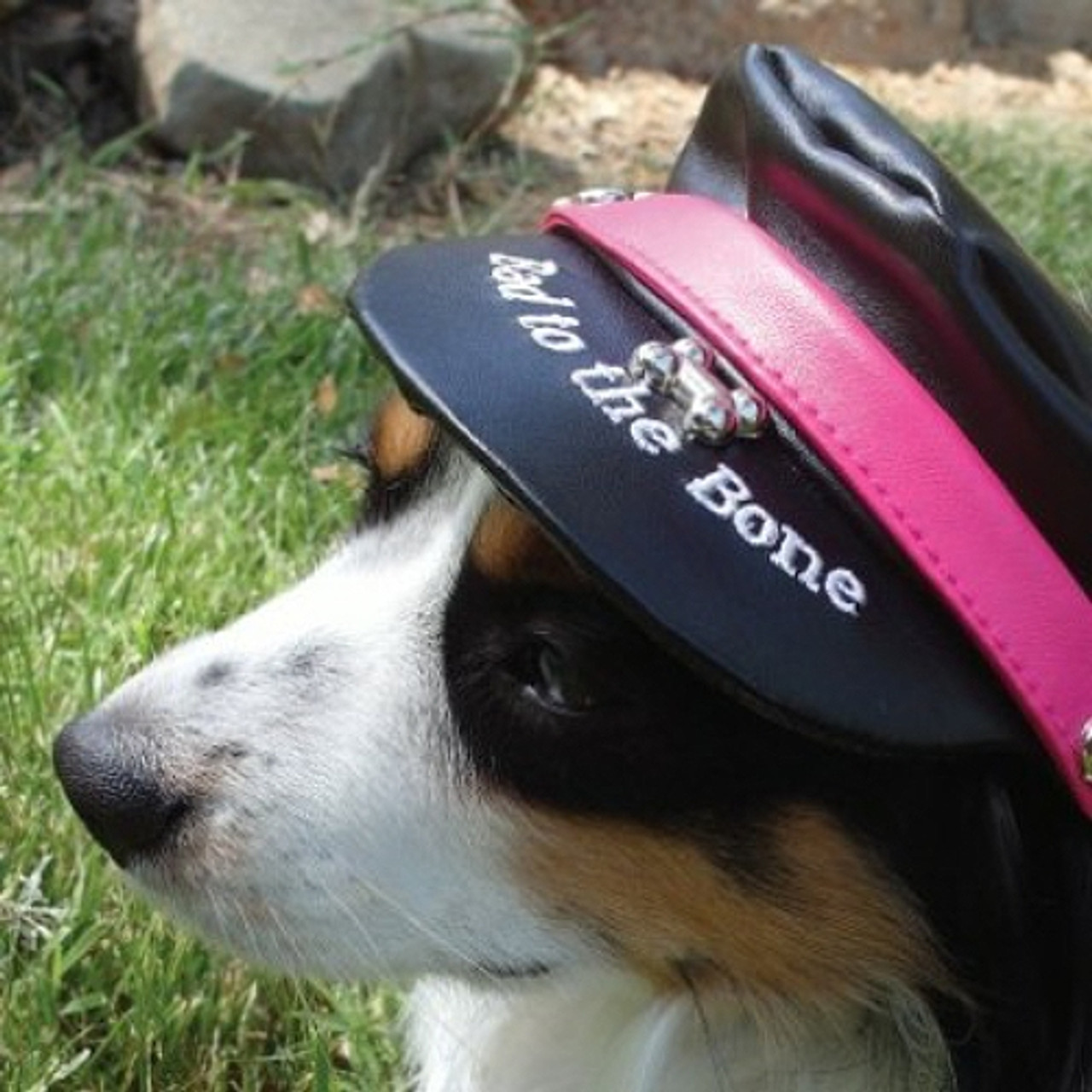 Dog Biker Motorcycle Cap - Bad to the Bone