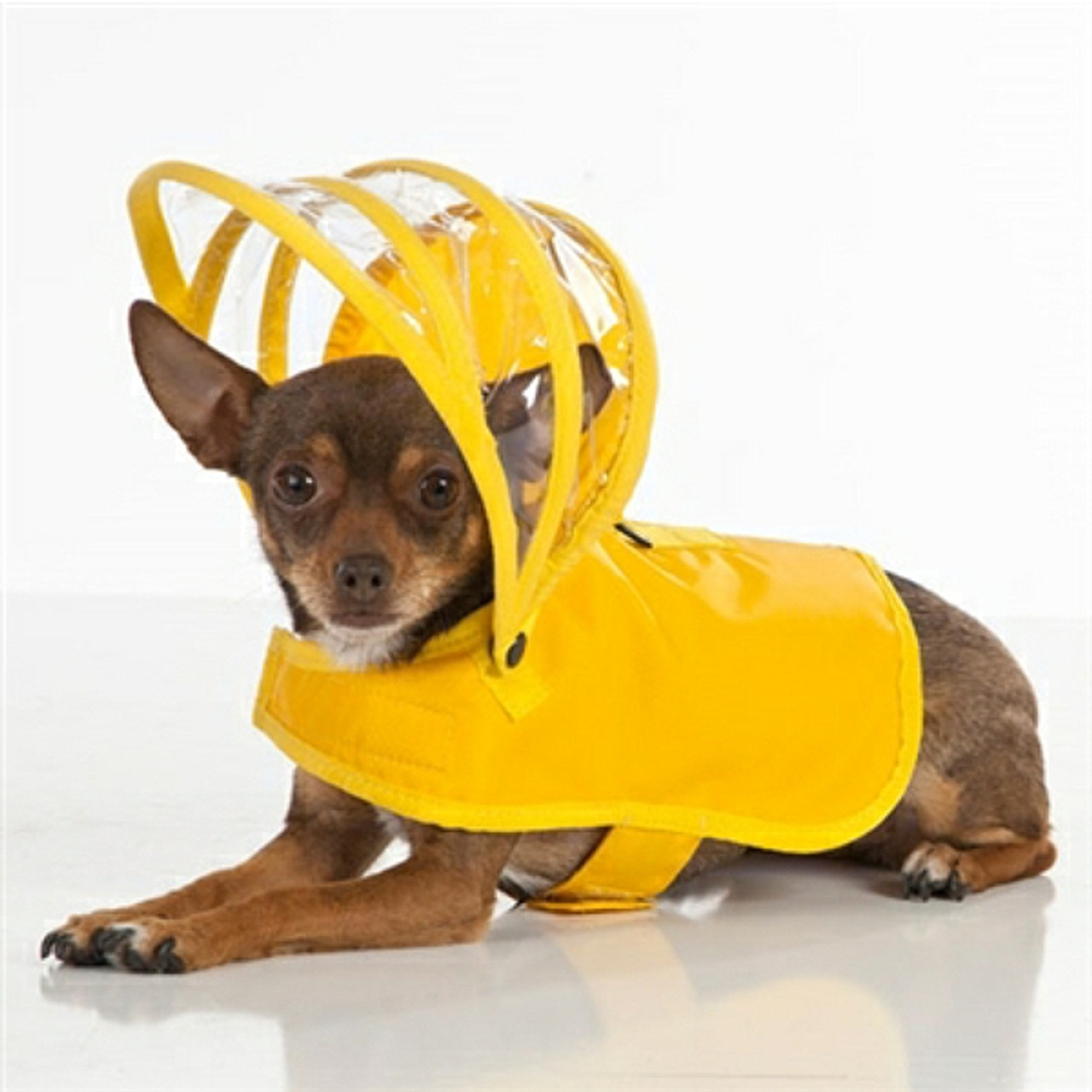 Yellow on sale dog raincoat