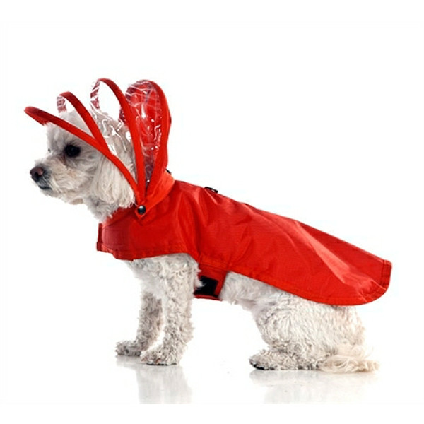 big dog raincoat