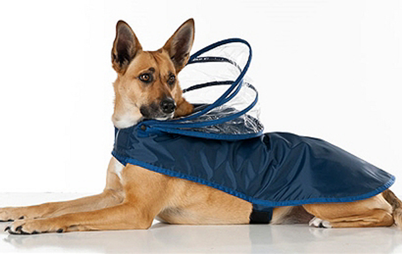 big dog raincoat