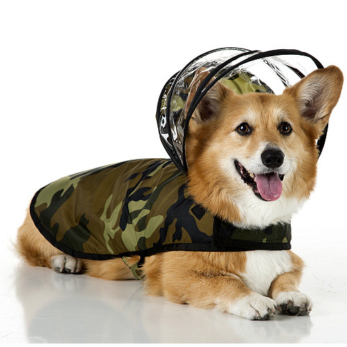 camo dog raincoat