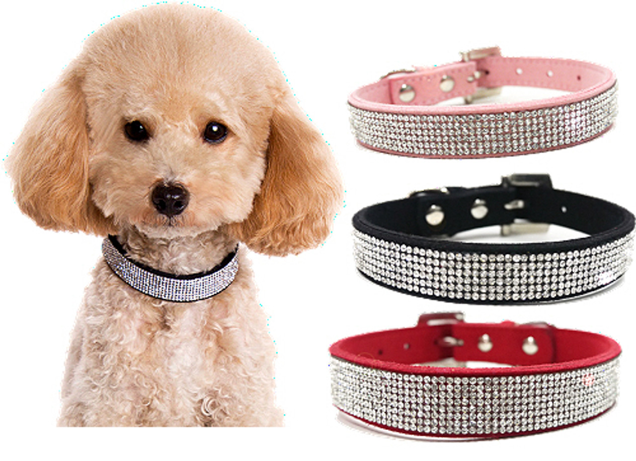 Designer Holiday Royal Blue Rhinestone Bling Jeweled Dog Collar & Leash Set  Gift