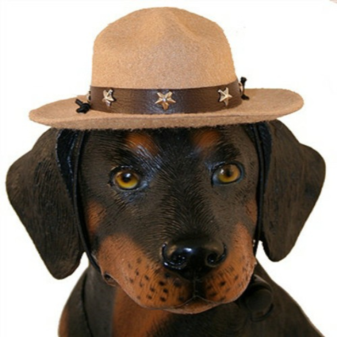 Drill Sergeant Dog Hat, PuppeLove at PupRwear