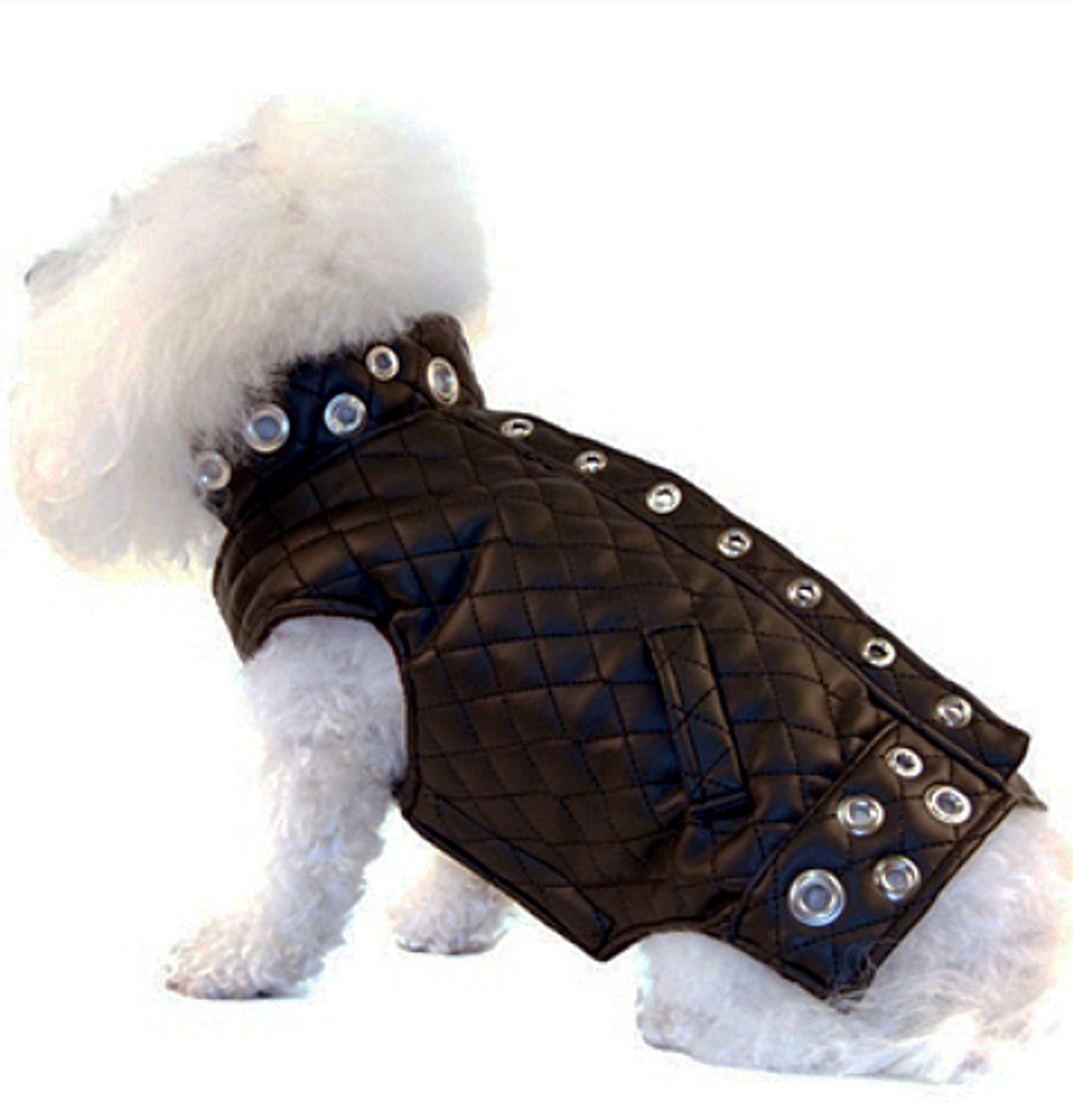 dog motorcycle jacket