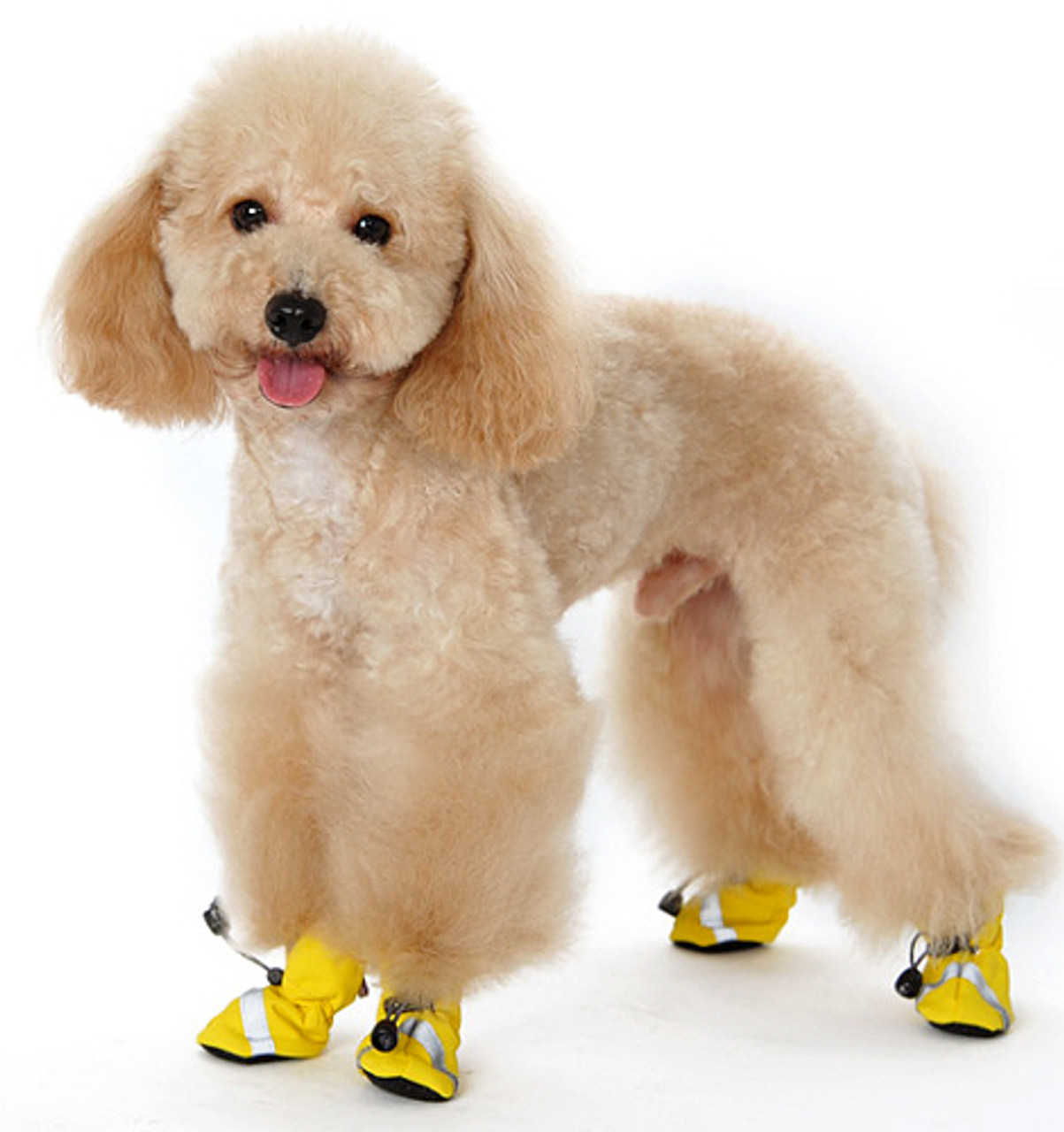 yellow dog boots