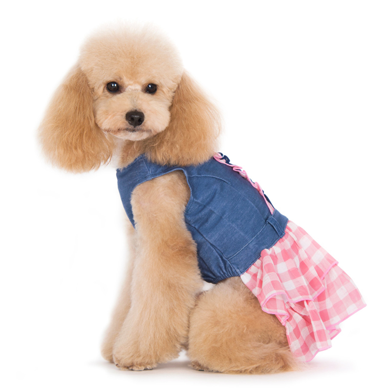 KUTKUT Floral Casual Denim Dress for Small Dogs and Cats, Dress for  Shihtzu, King Charles, Pug & Small Dogs(Size: XL, Chest: 50cm, Back Length:  40cm) : Amazon.in: Pet Supplies