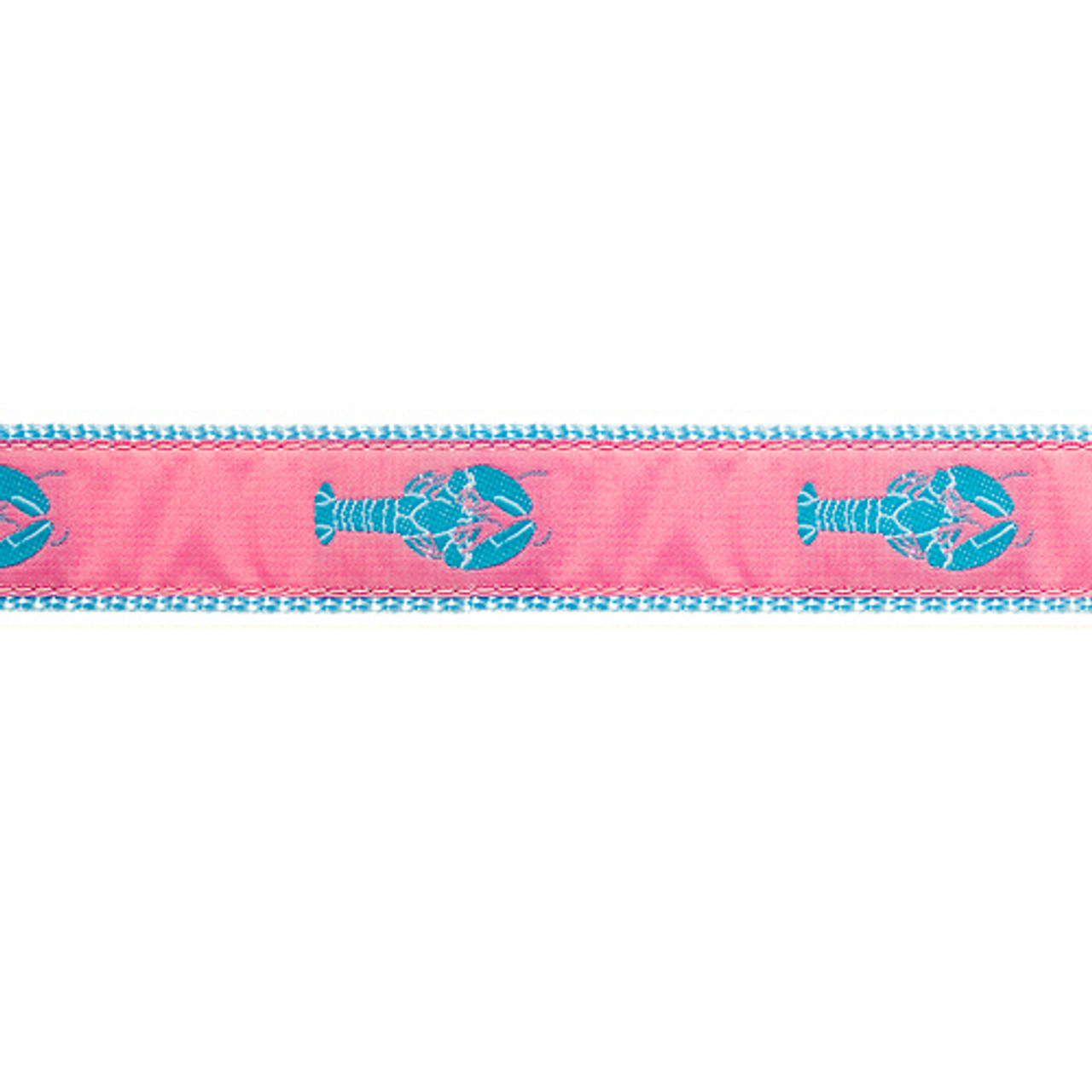  Paws Paws Miami Dog Collar for Small Dogs, Girl or