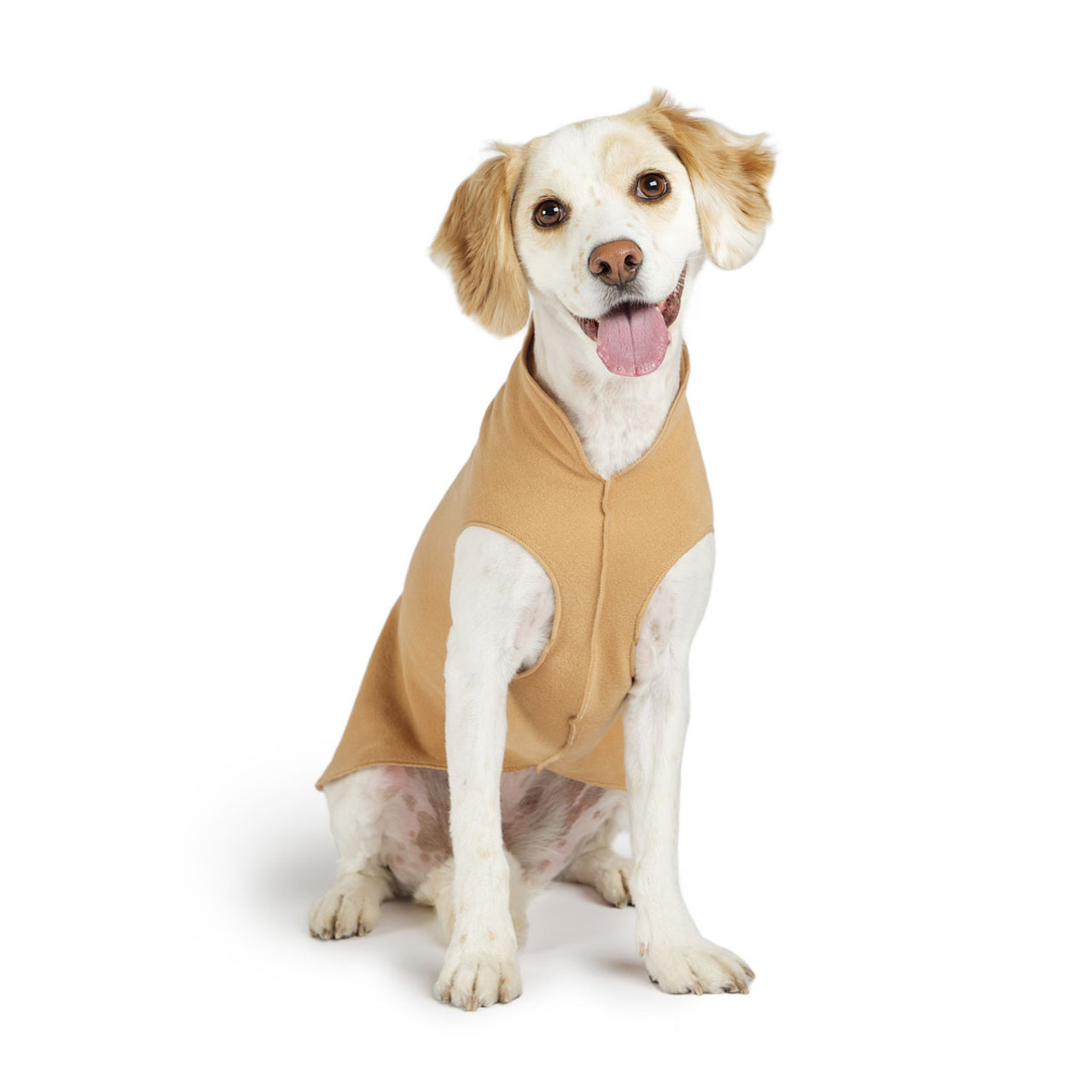 Gold paw discount series dog sweaters