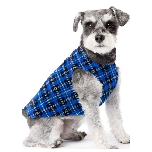 Schnauzer Scottie Dog Costume Gold Paw Stretch Fleece Blue