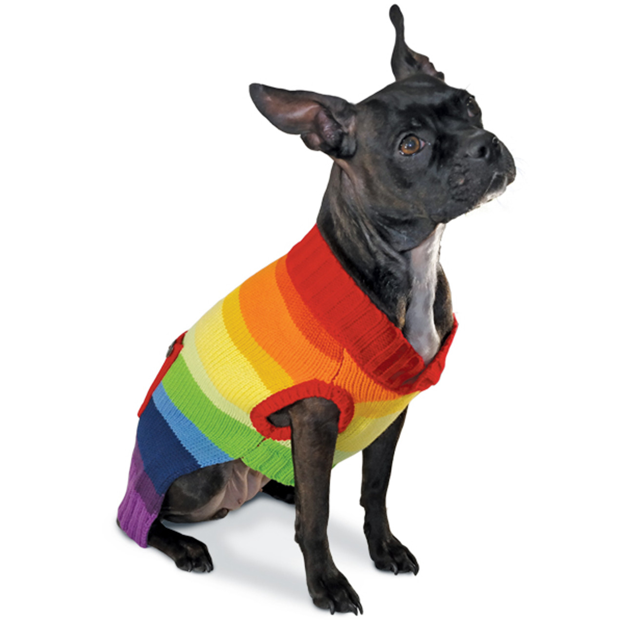 rainbow dog sweater