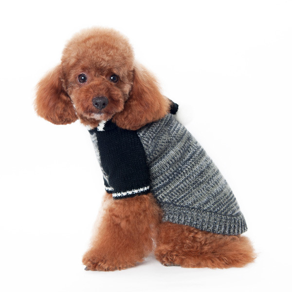 black dog sweater