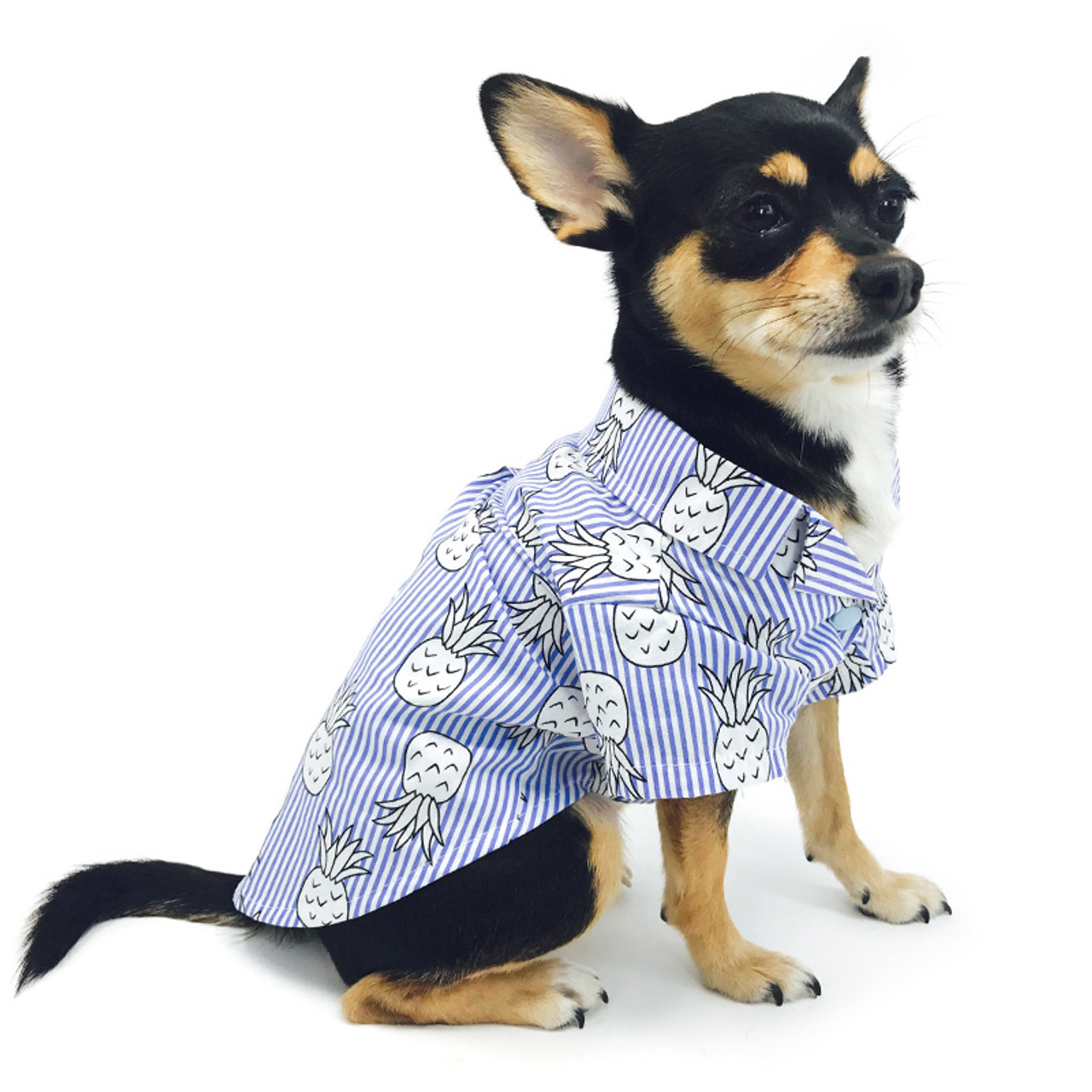 Pineapple clearance dog shirt