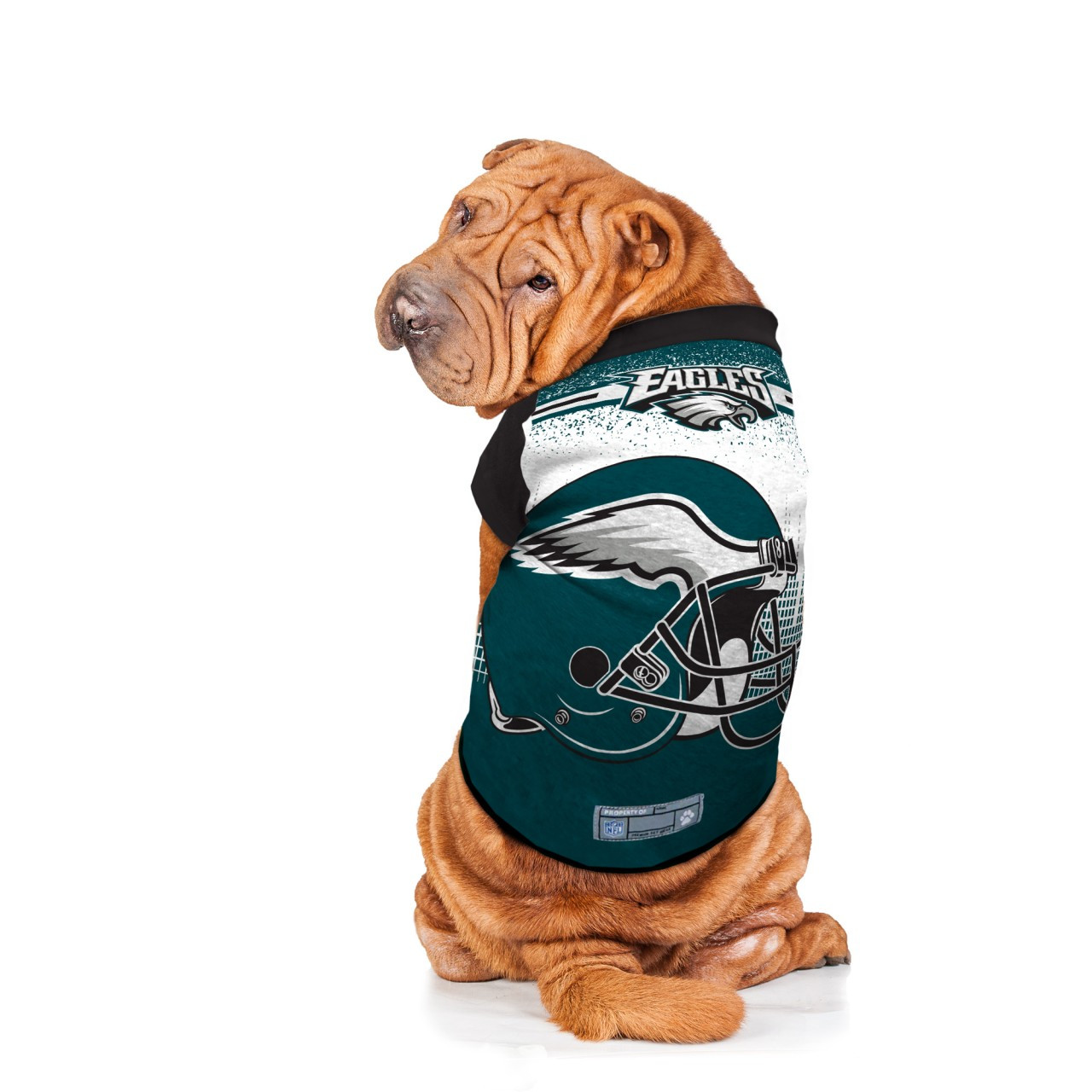 philadelphia eagles dog
