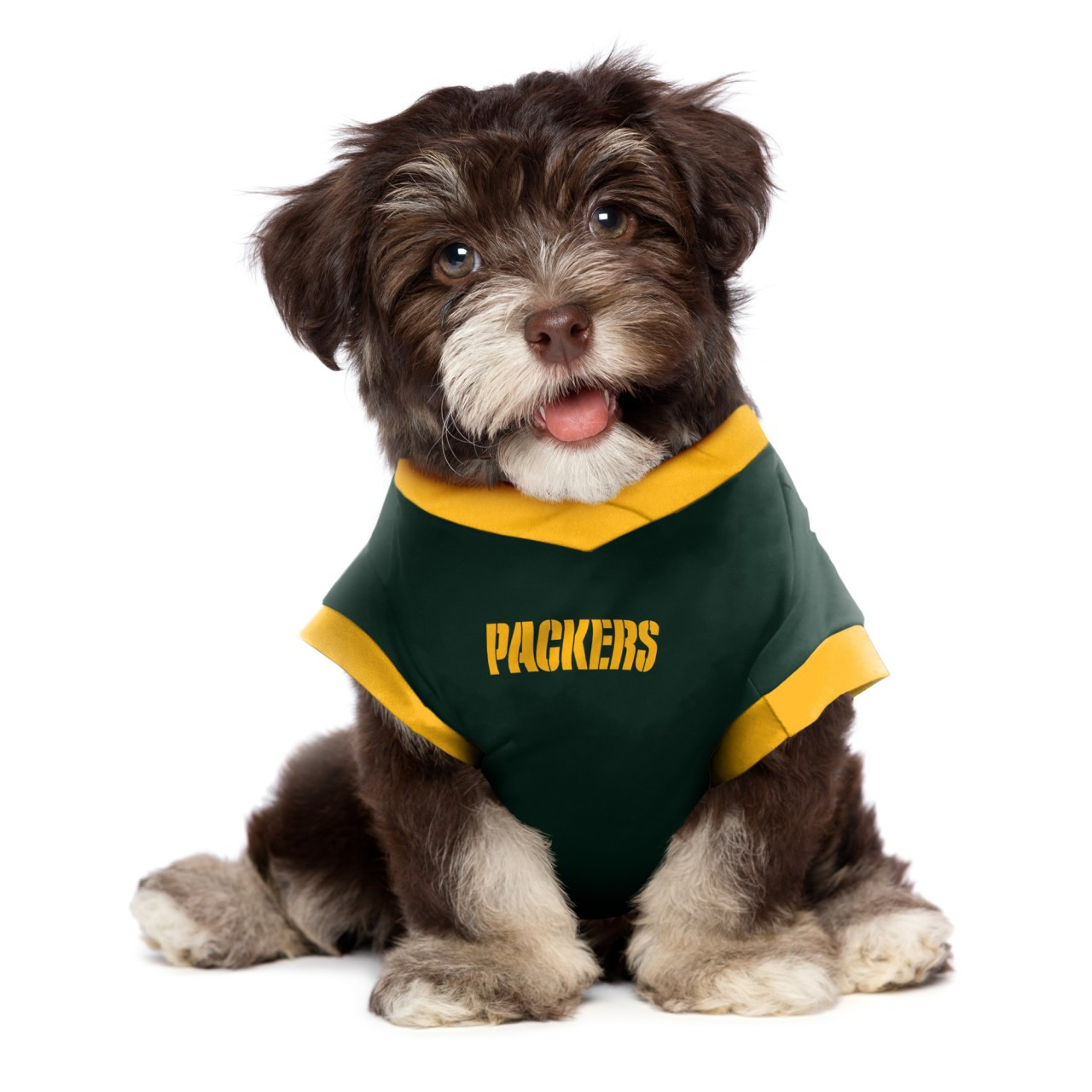  NFL Detroit Loins Dog Jersey, Size: Medium. Best Football  Jersey Costume for Dogs & Cats. Licensed Jersey Shirt. : Sports & Outdoors