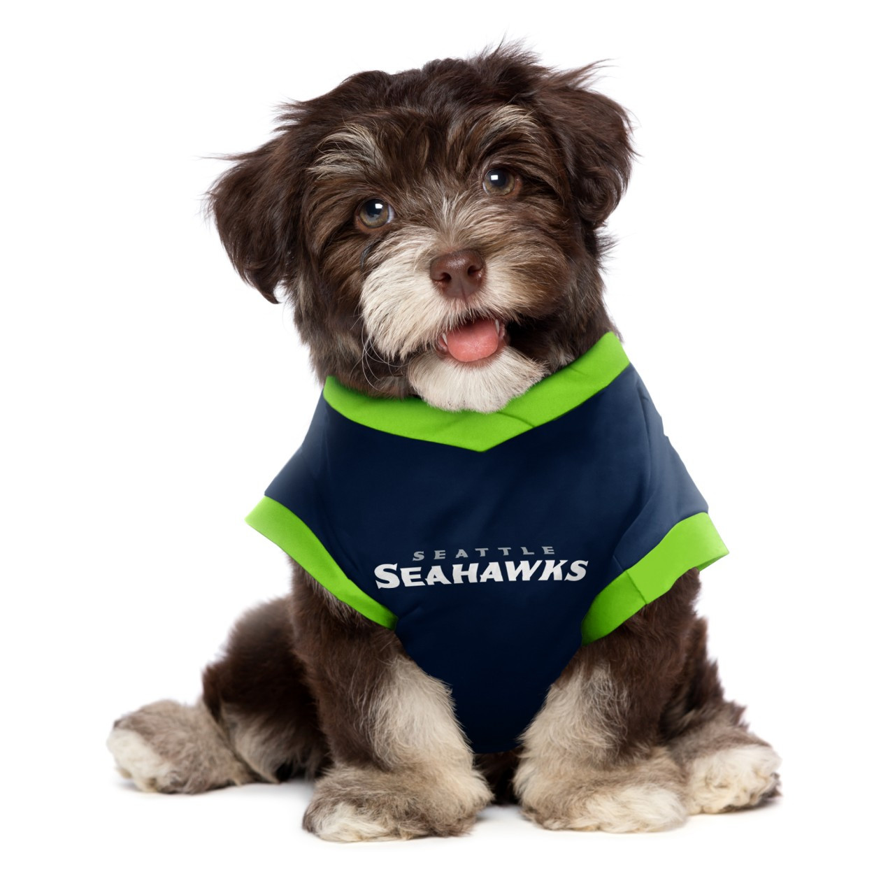 seattle seahawks dog jersey