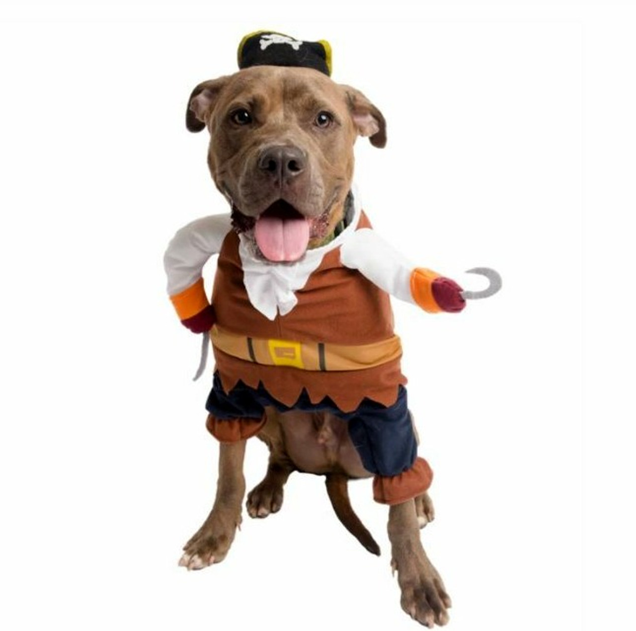 Pirate Pet Dog Costume With Arms / Hat