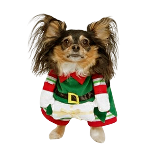 Christmas Elf Pet Dog Costume | PupRwear Christmas Elf Pet Dog Costume | PupRwear