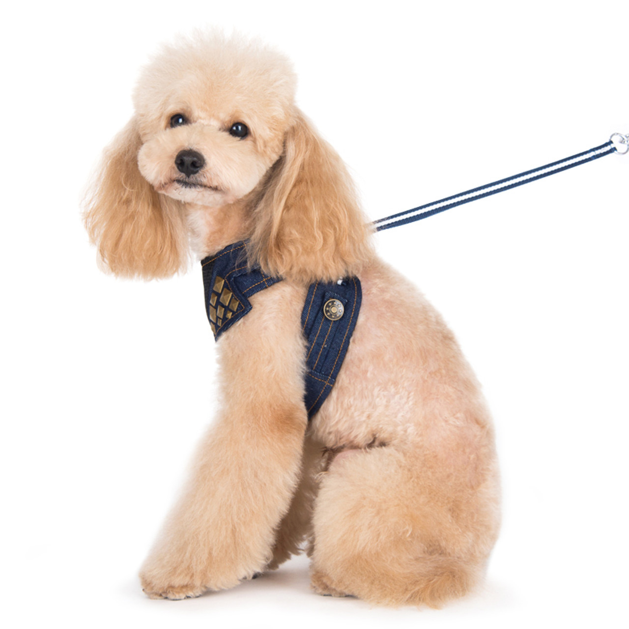 Luxtrada Dog Leash Harness Adjustable Durable Leash Set Heavy Duty Denim  Dog Leash Collar for Small, Medium and Large Dog (Blue,1CM) - Walmart.com