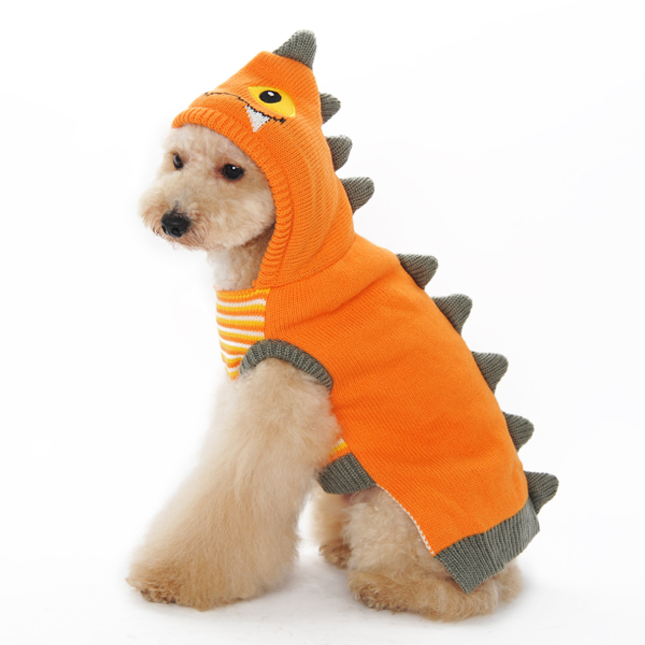 Orange dog. Собака в оранжевом костюме. Кофта для собаки дракон. Одежда для собак оранжевая. Свитер для собаки дракон.