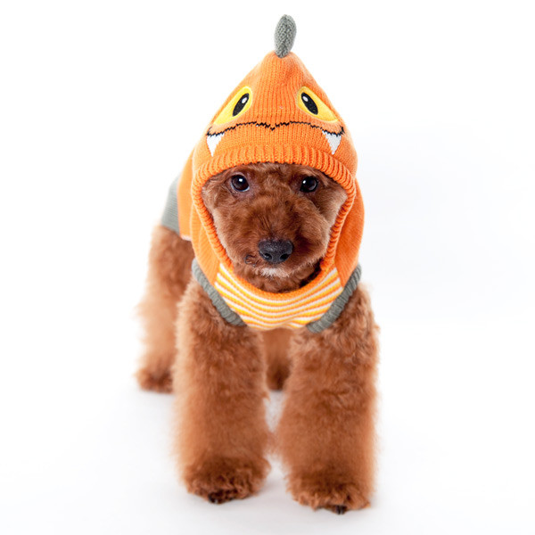 orange dog sweater