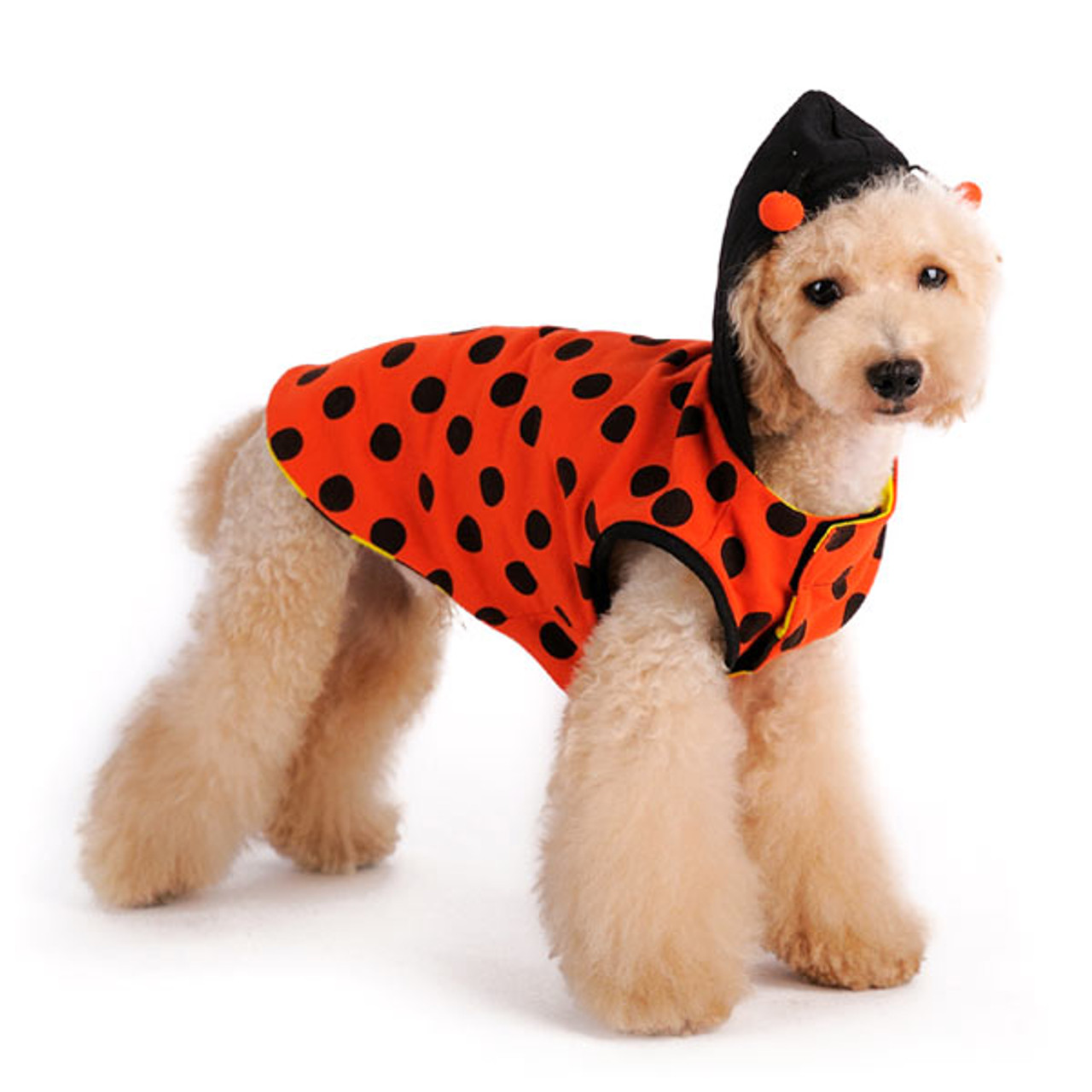 Dog Costume - Lady Bug  Doggie Designs at PupRwear