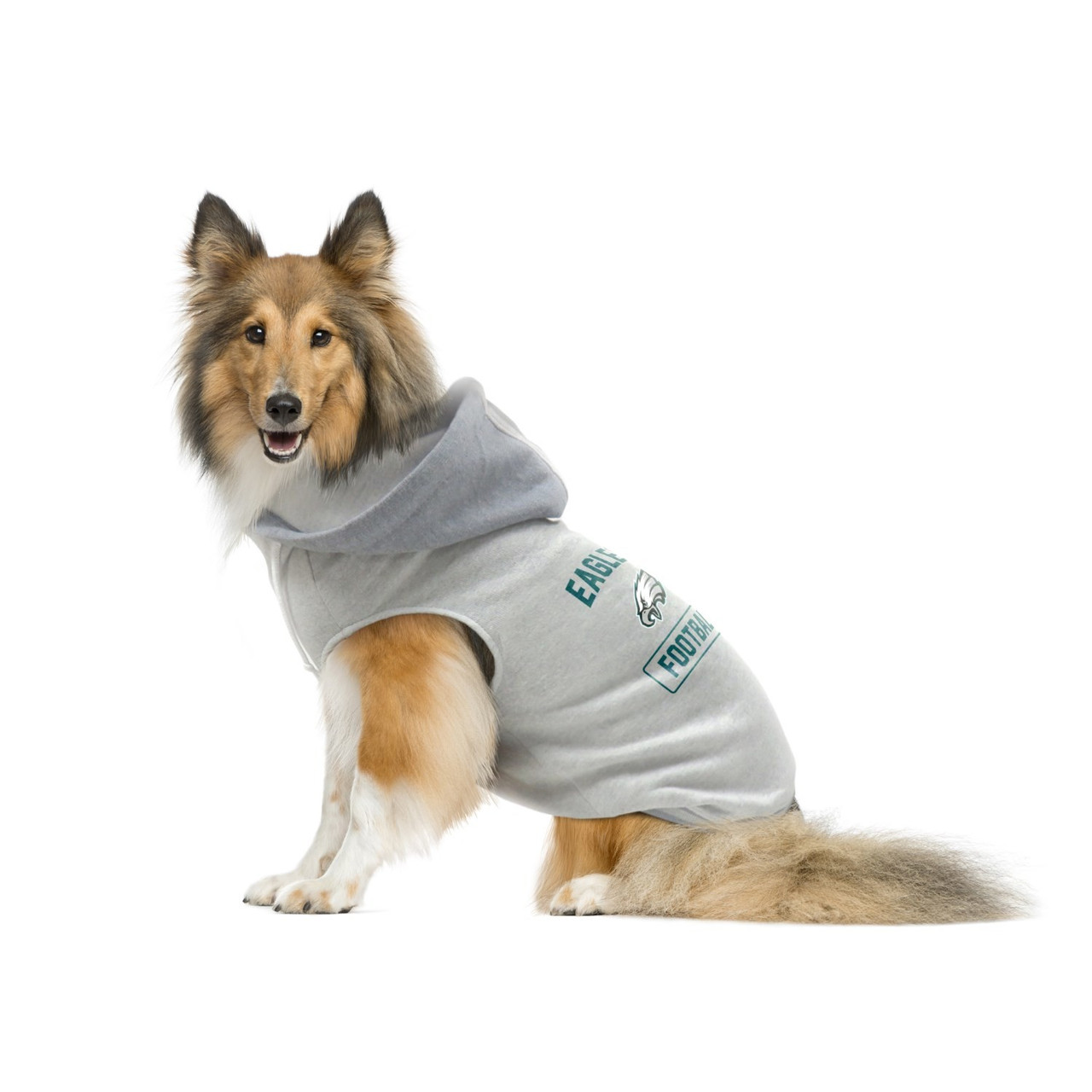 EAGLES NFL Team Hoodie – Paw Dazzle Pet Bakery and Boutique