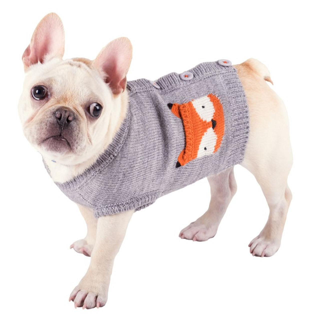 dog cardigan sweater