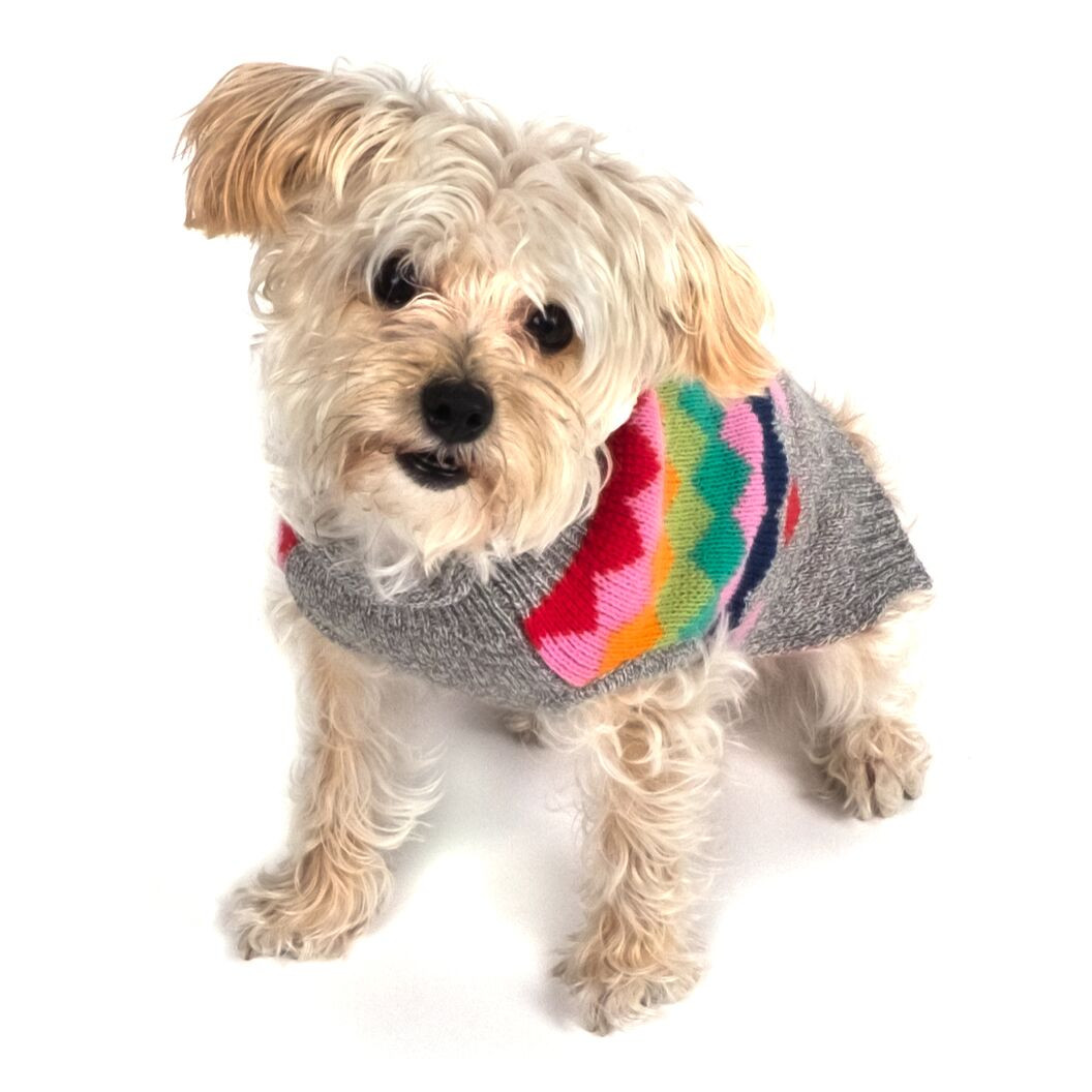 argyle dog sweater