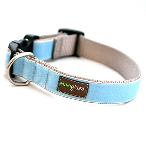 blue velvet dog collar