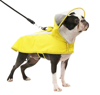 Clear Hooded Dog Rain Coat Yellow Gooby at PupRwear