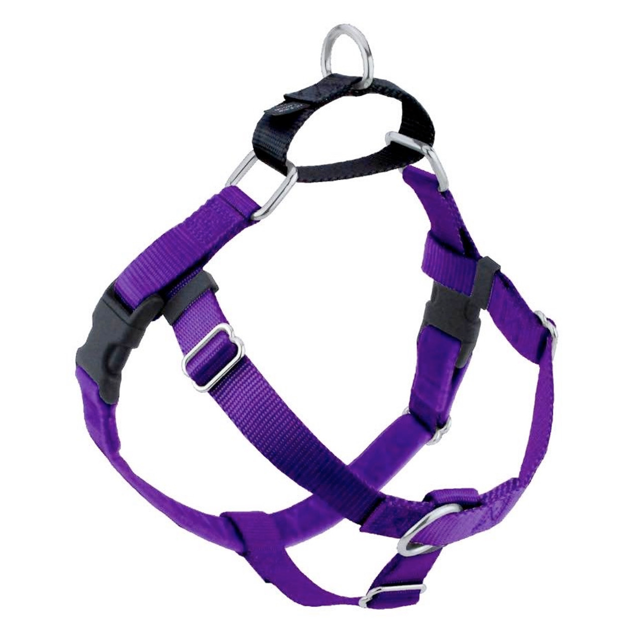 purple dog leads