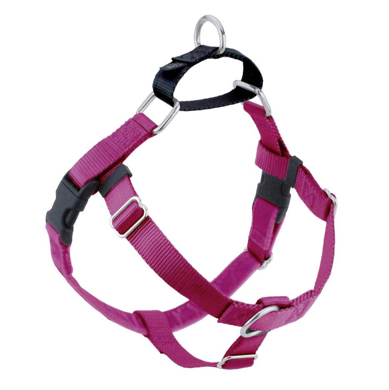 Raspberry Freedom No-Pull Dog Harness & Optional Leads