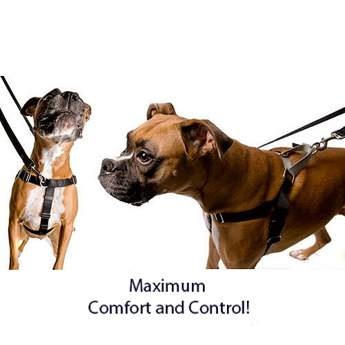 no pull large dog harness