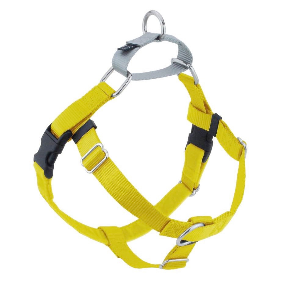 freedom no pull harness amazon