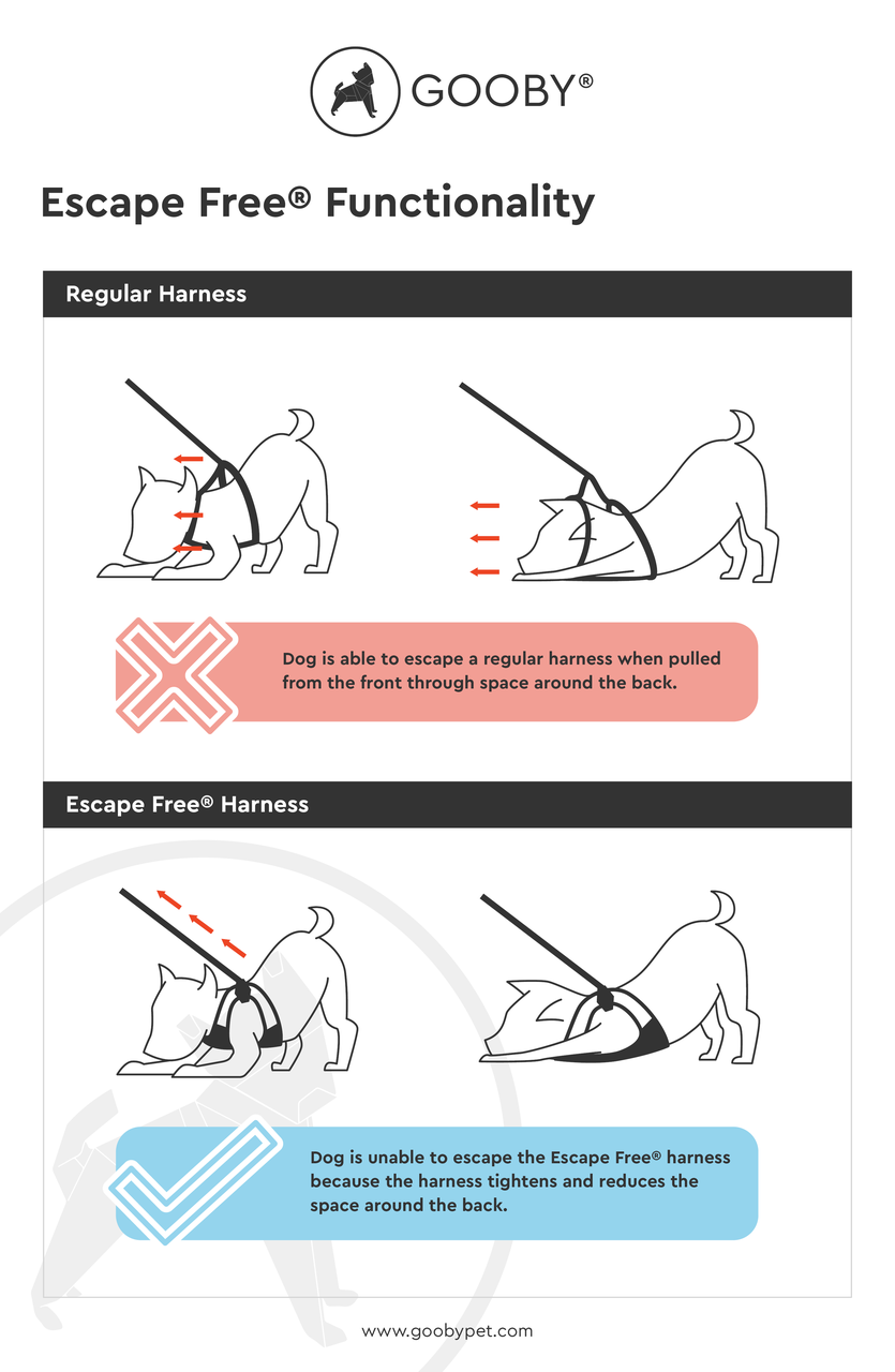 Gooby Harness Size Chart