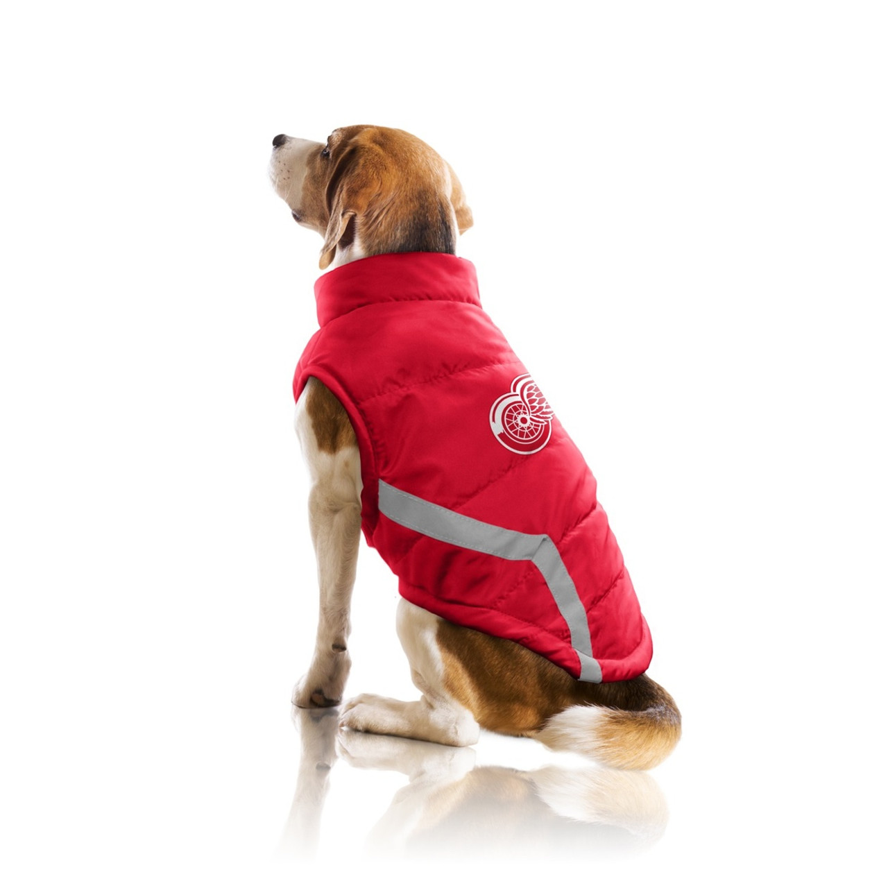 red wings dog jersey