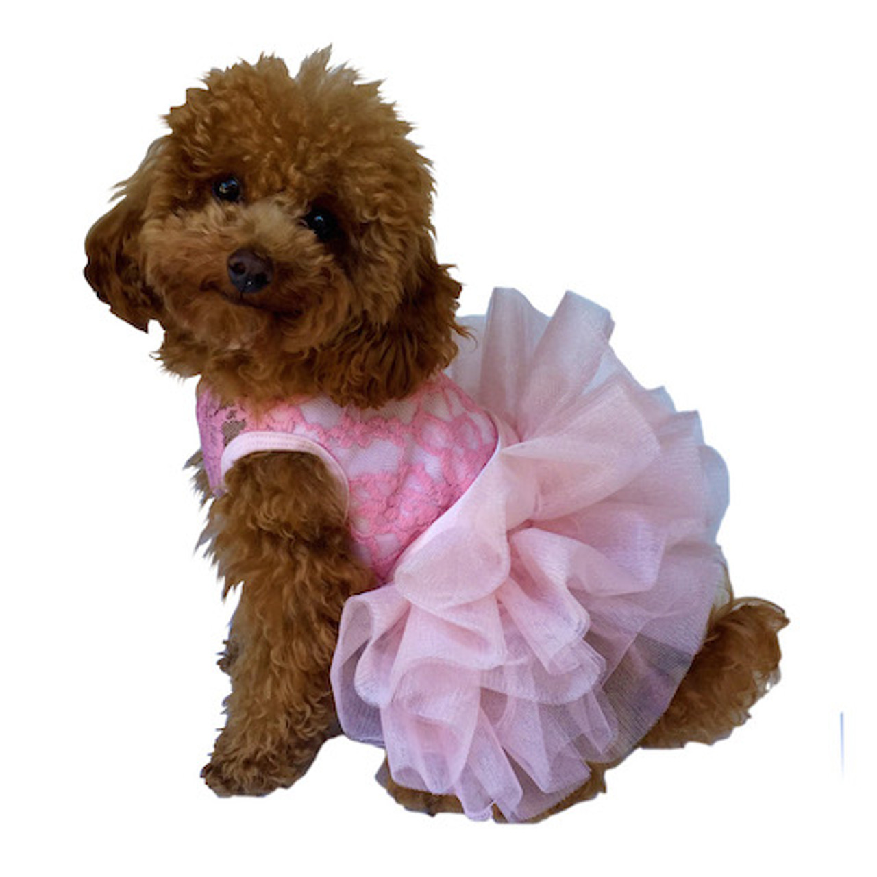 Fufu Tutu Dog Dress - Pink | Dog Squad at PupRwear