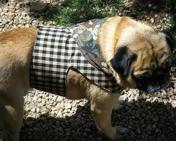 tan dog harness