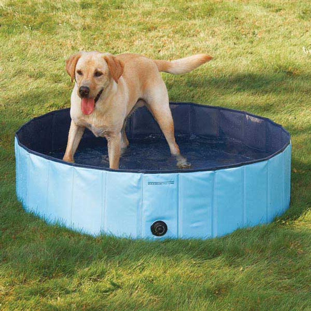 Baron Heavy Duty Raised Dog Bowl - Large