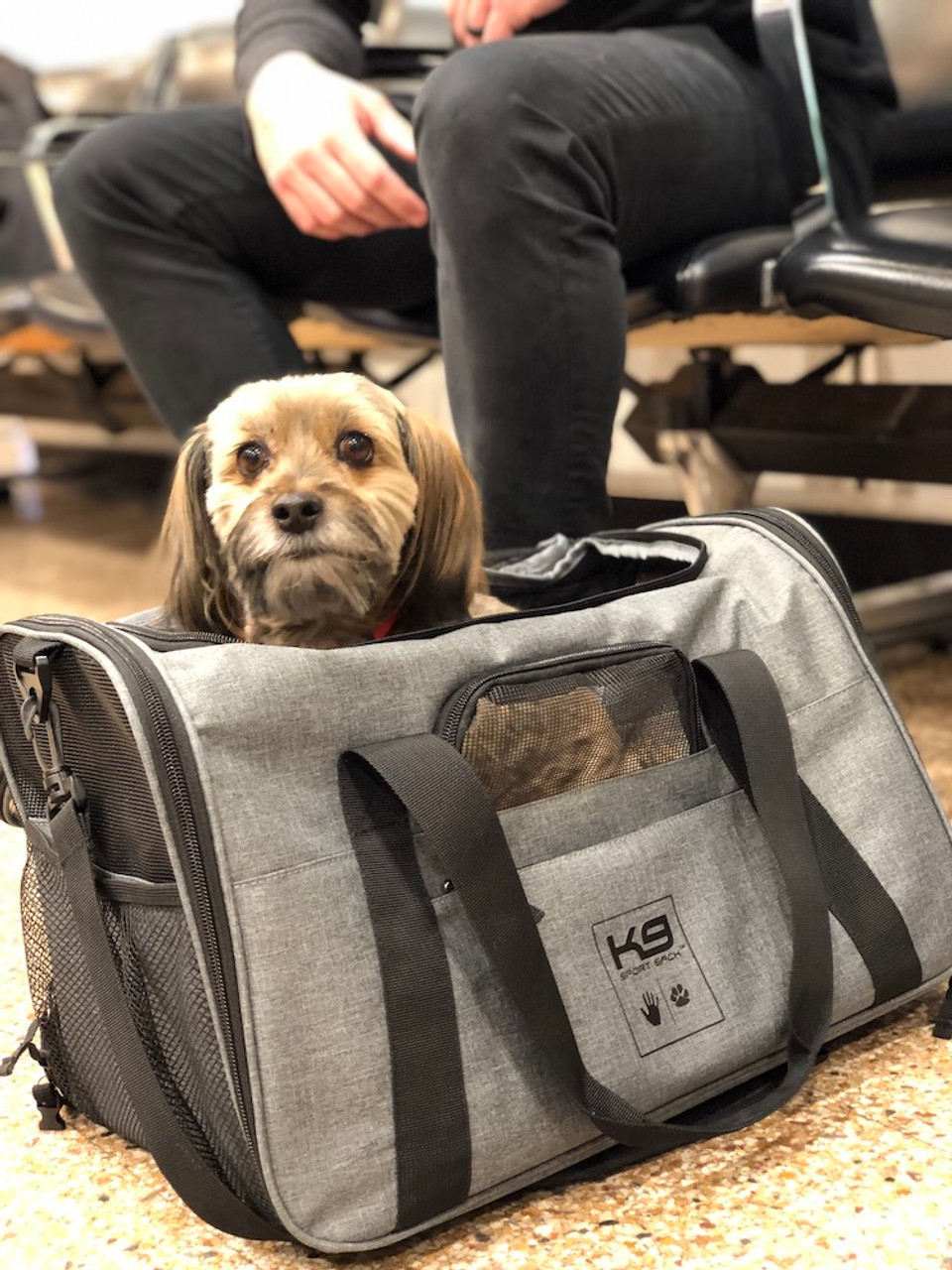 Luxury Pet Carrier Dog Travel Tote Medium - Model Paws
